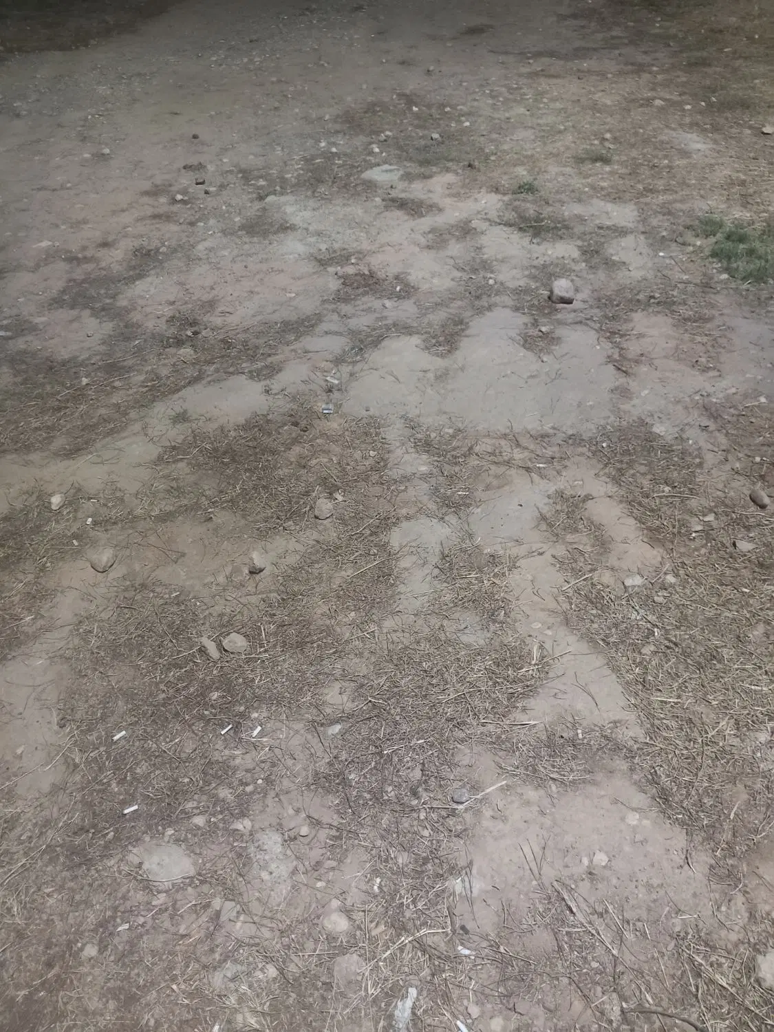 فروش زمین مسکونی ۲۰۰ متری شورای گویم