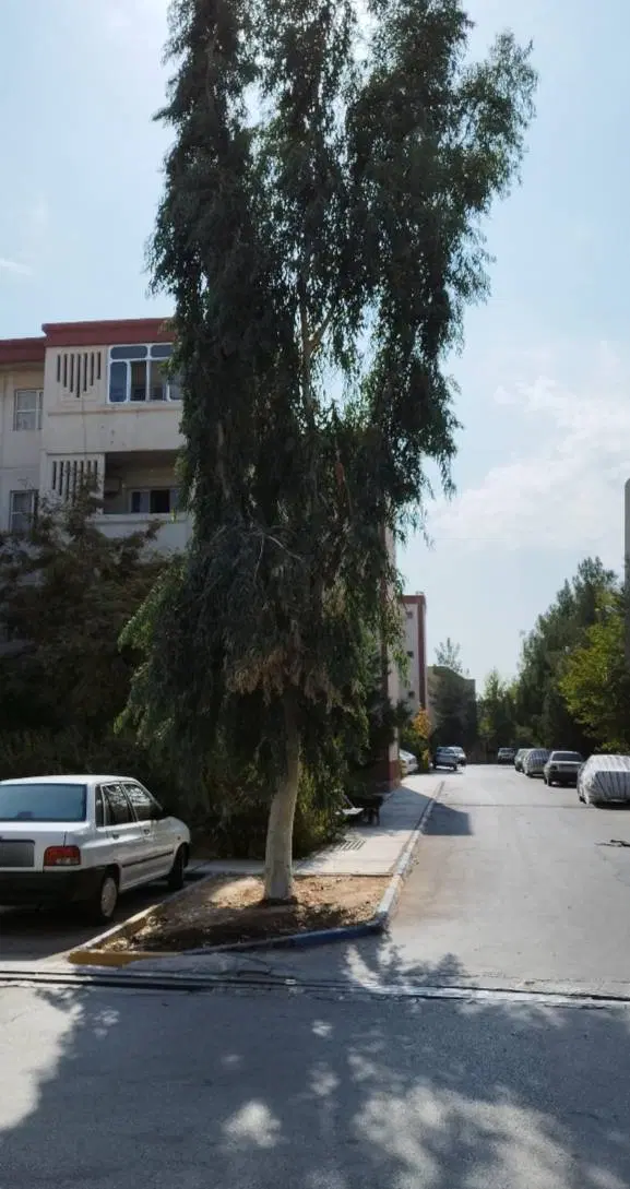 رهن و اجاره یک خوابه اسکان4فاضل