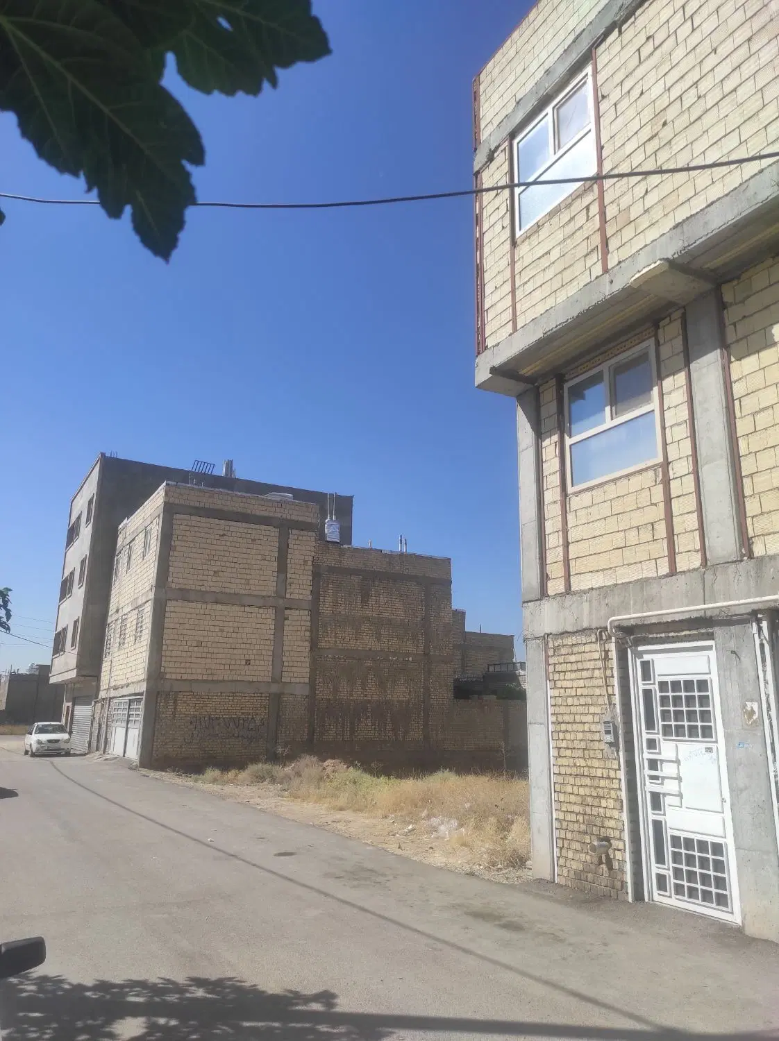 فروش زمین گل یخ شرقی