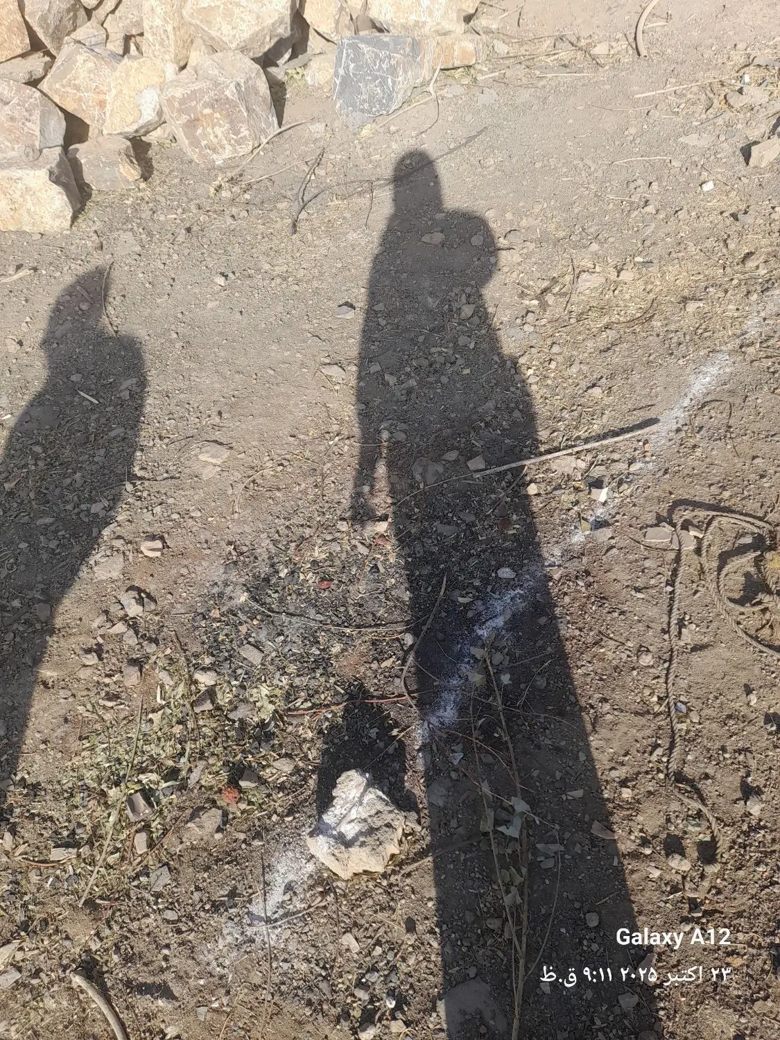 زمین پنچا متری نایسر ارغوان ۸