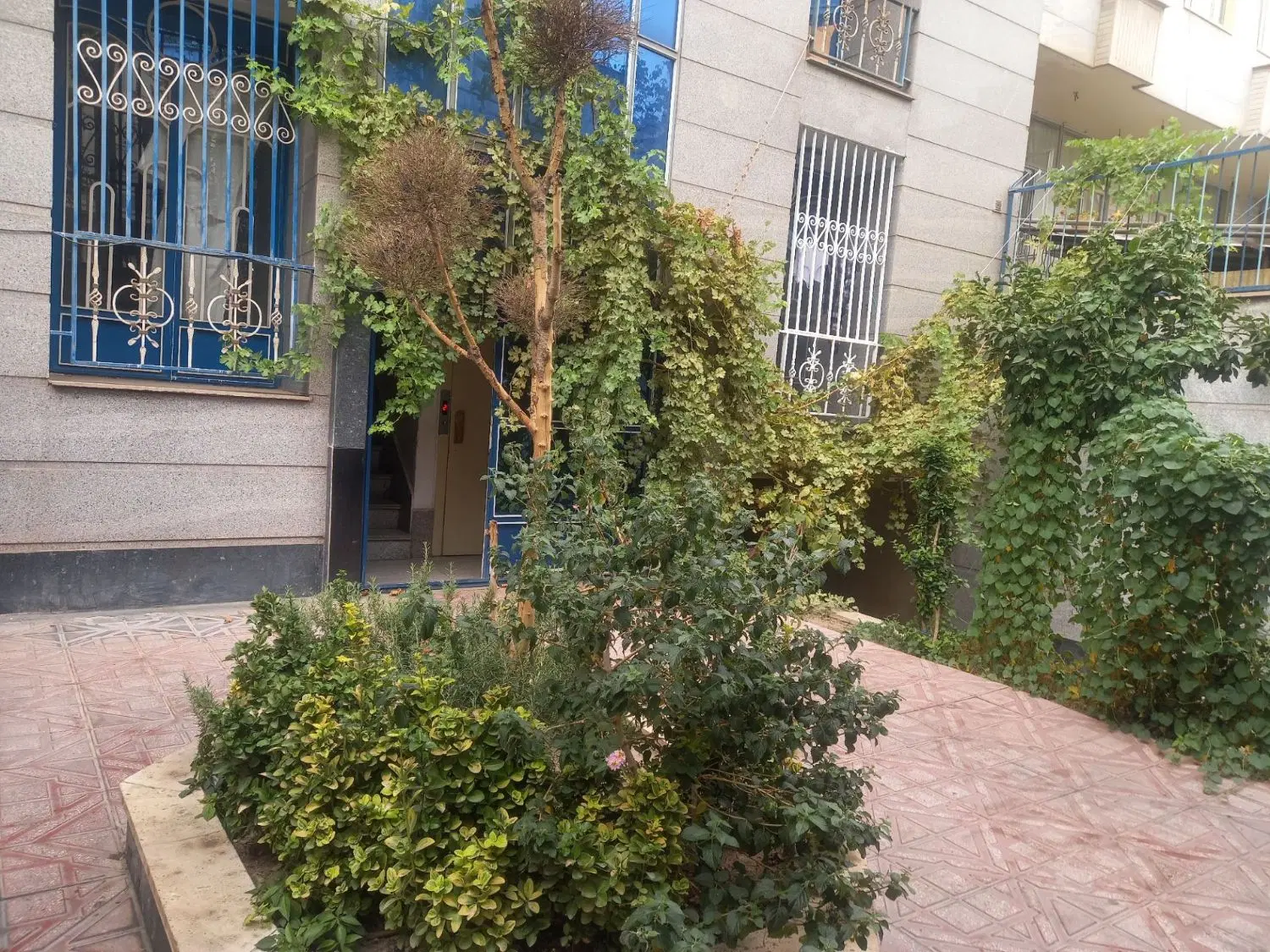 ۵۶ متر تک خواب بازسازی شده در وحدت