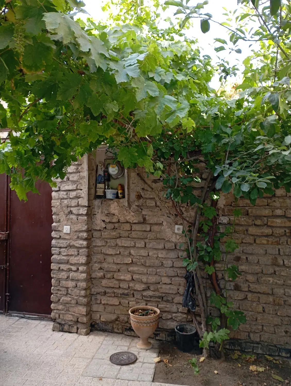 ویلایی