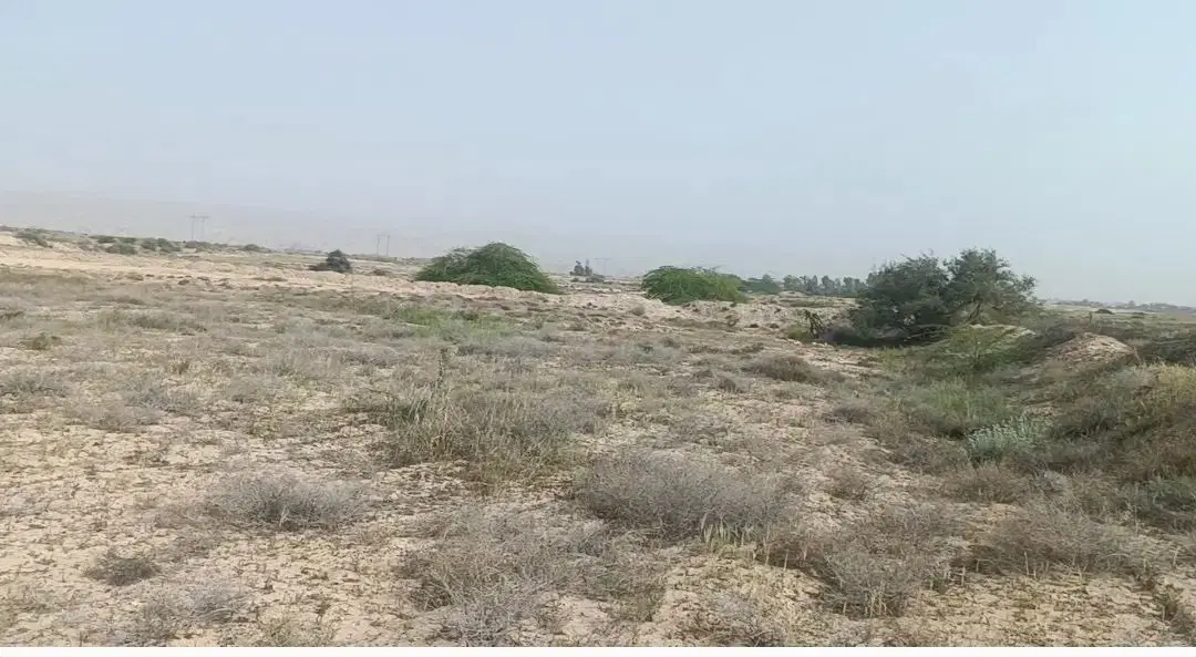 زمین باغو پلاک یک باغو