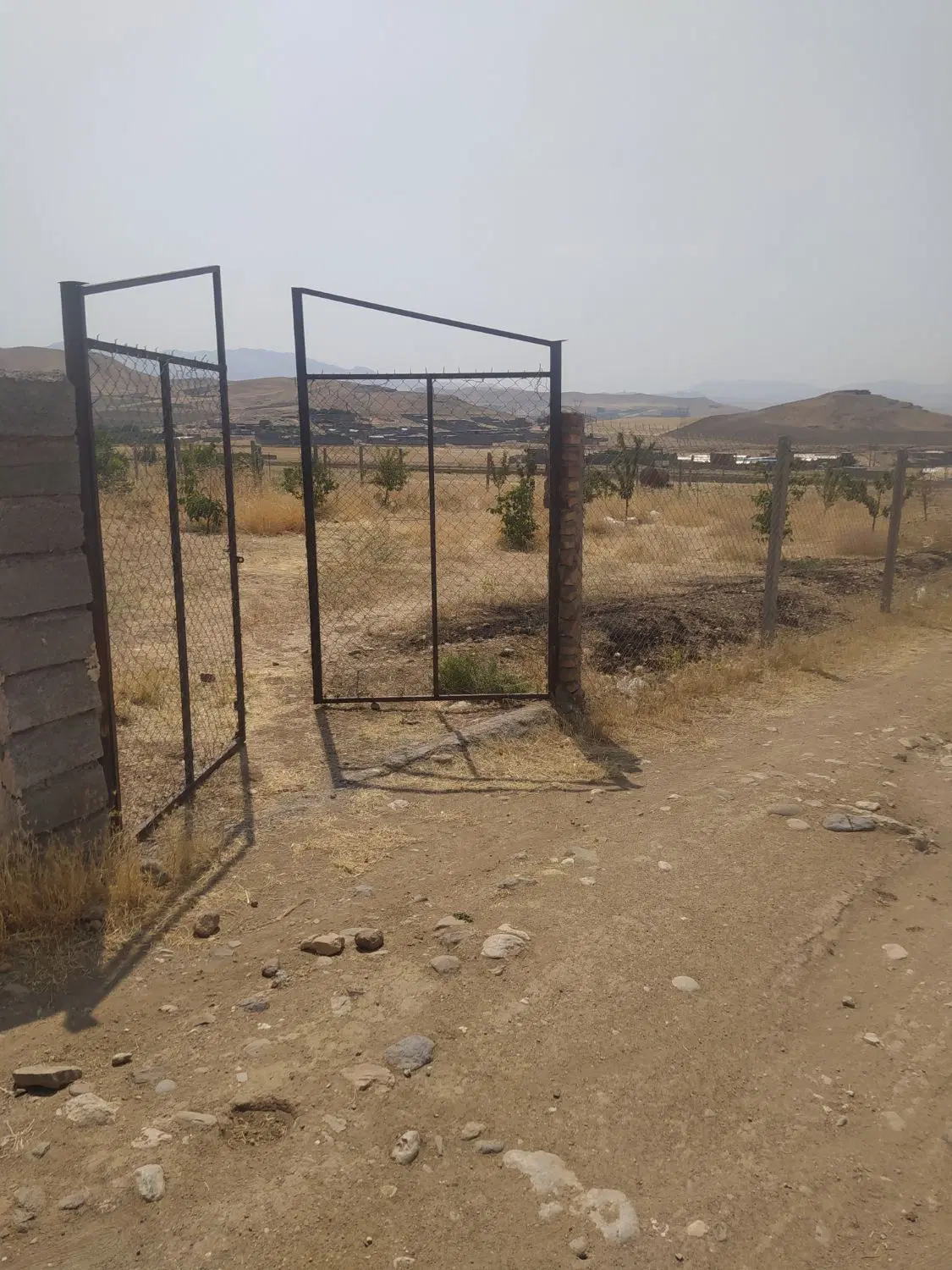 زمین اینده دار