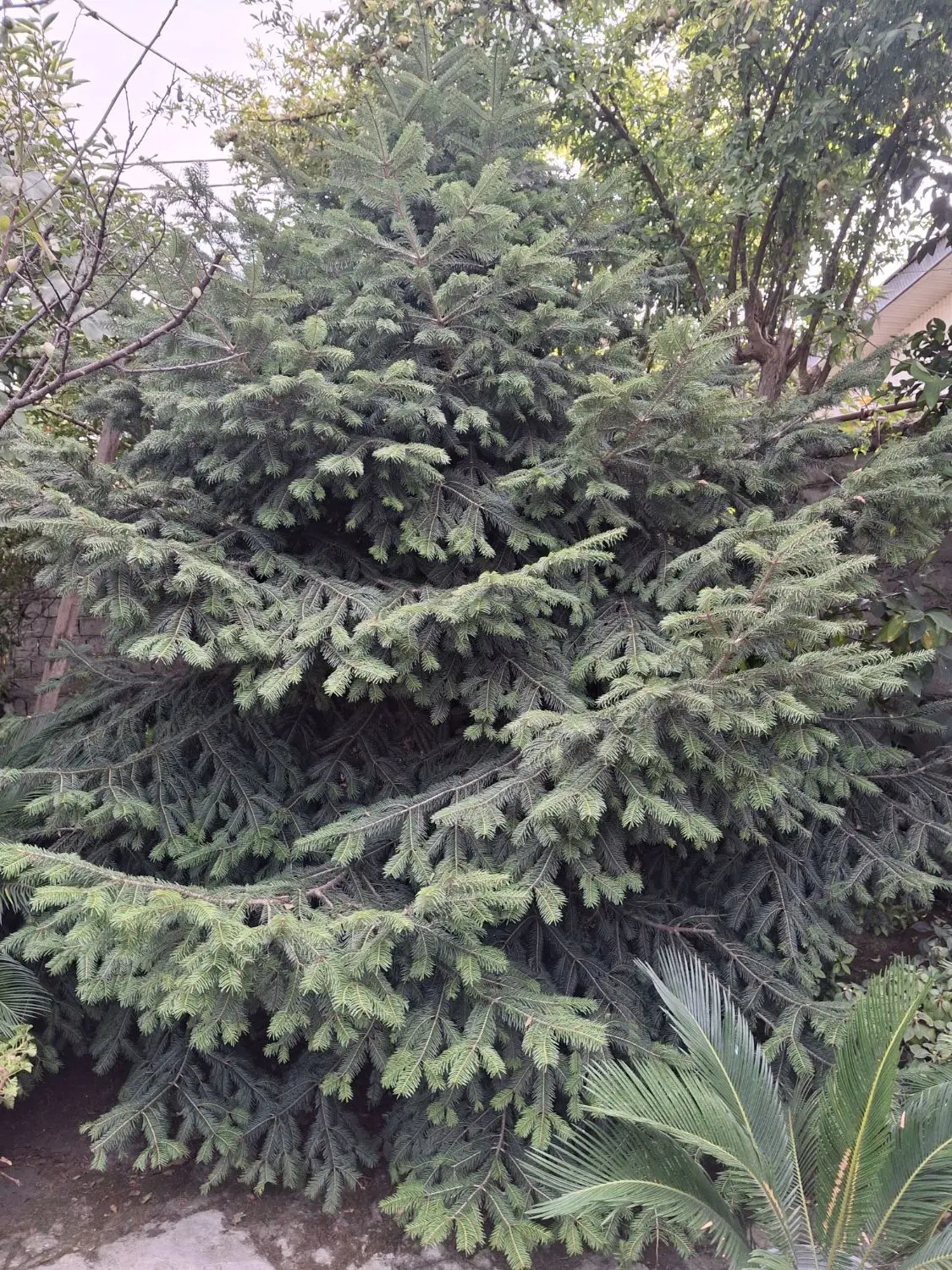 خانه ویلایی