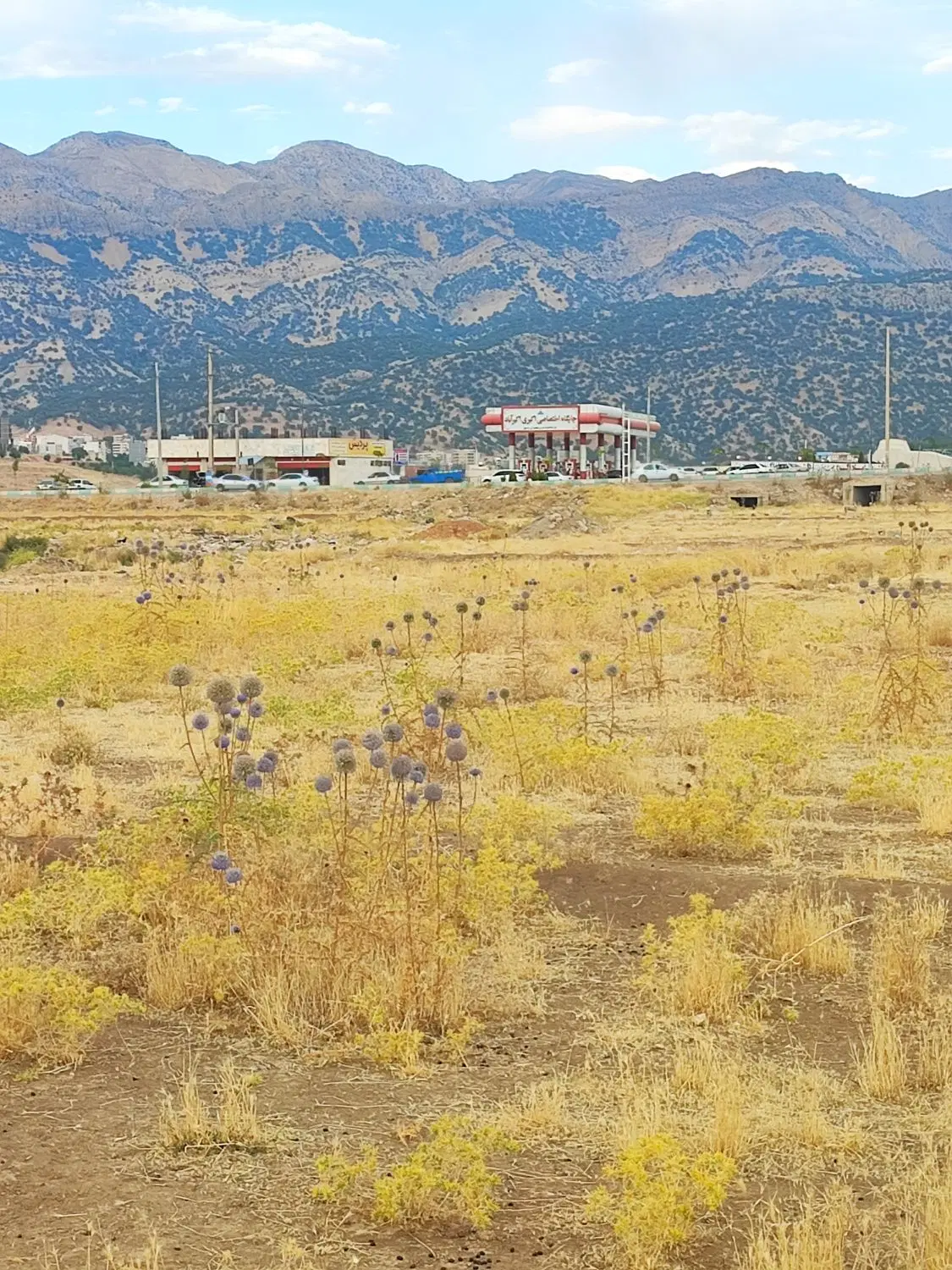 ۲۲۵ متر زمین روبرو پمپ بنزین اکبری