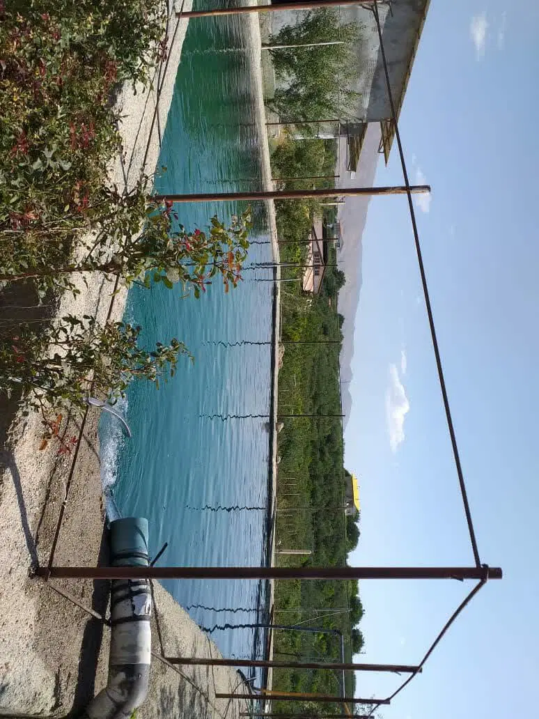 کارخانه