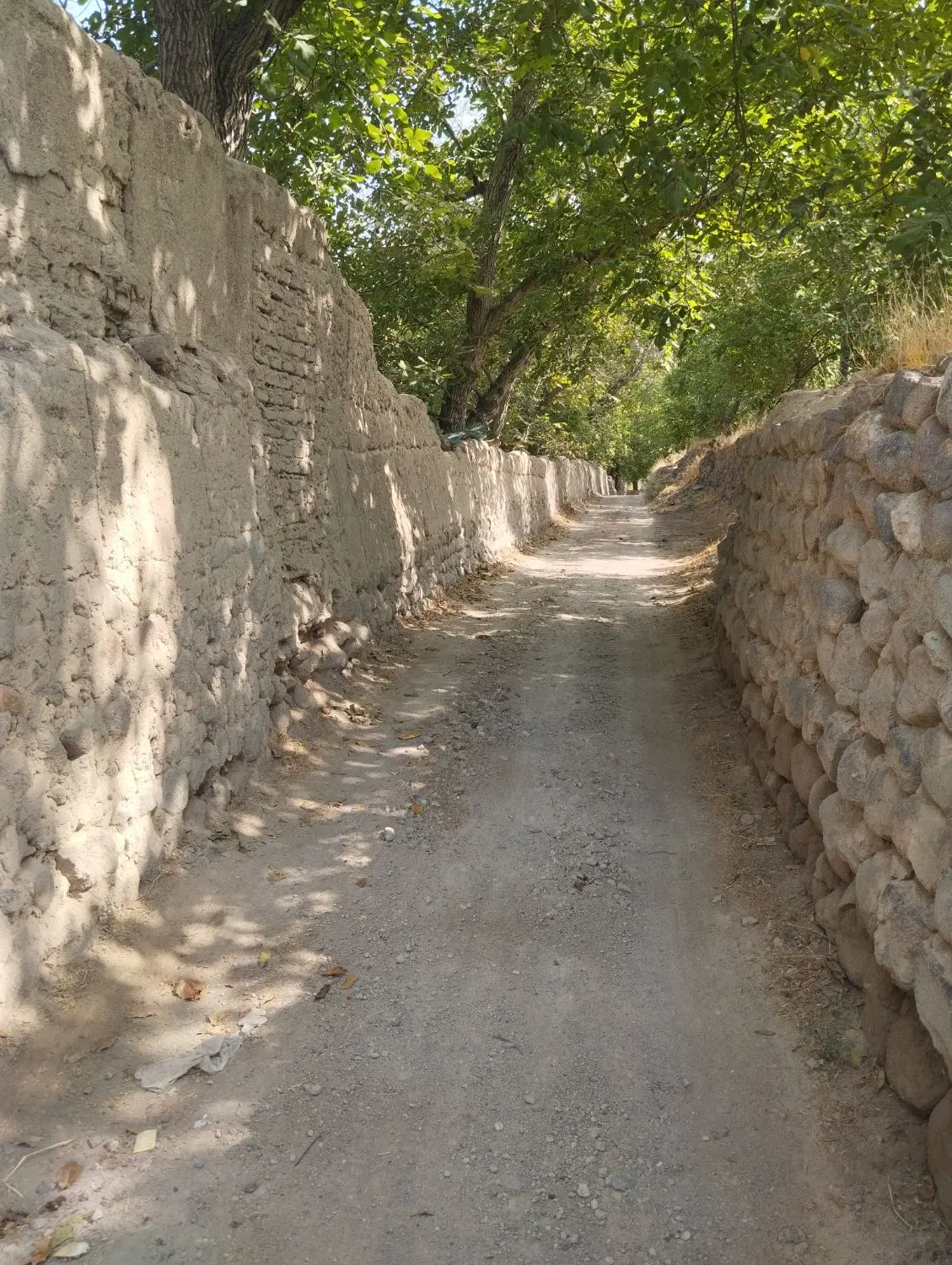 باغ ویلایی ۳۵۰ متر در اسفهلان