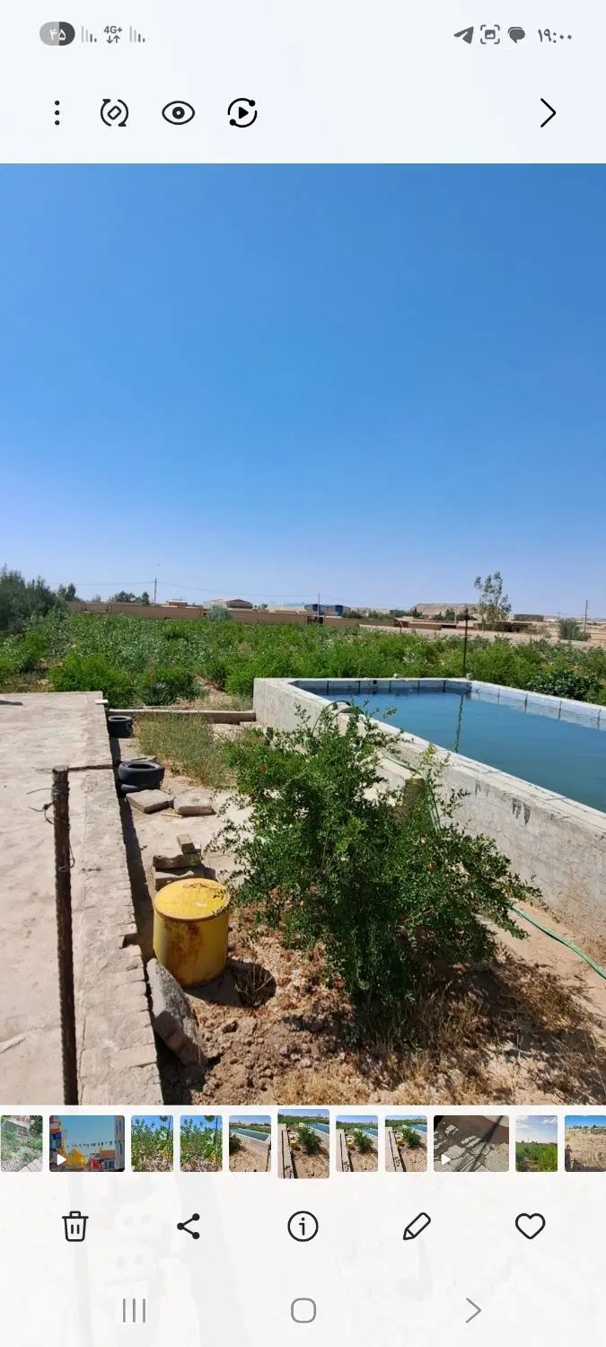فروش باغ مناسب سرمایه‌گذاری