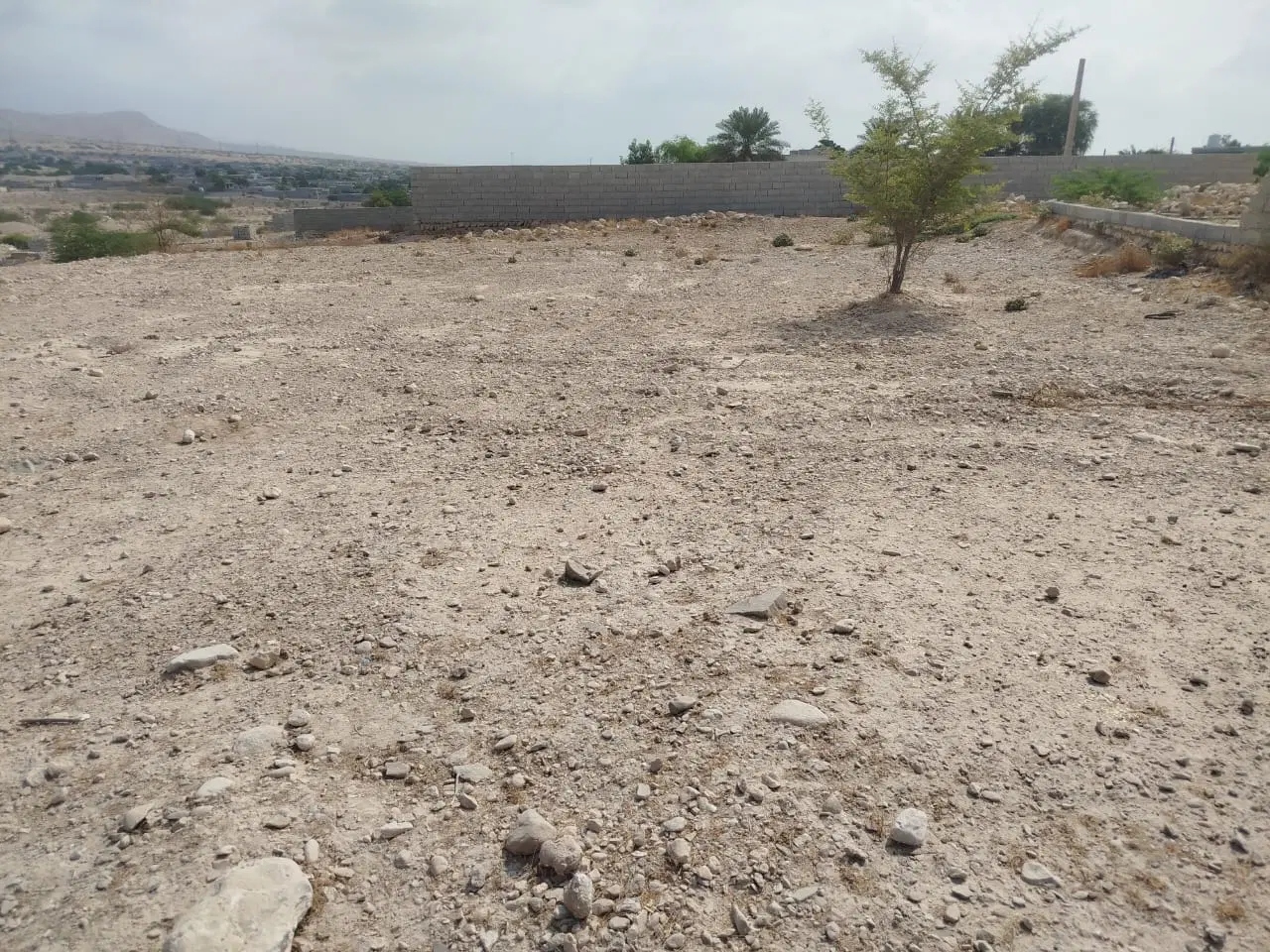 زمین مسکونی