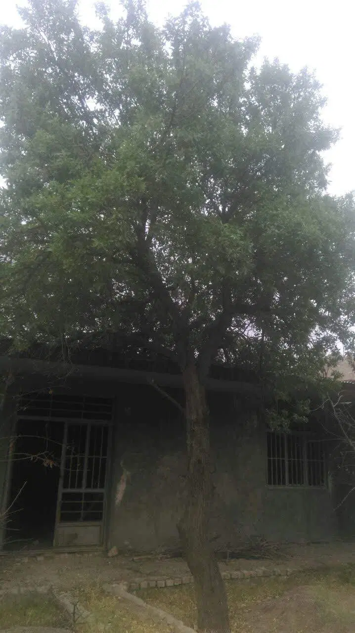 معاوضه خانه باغ