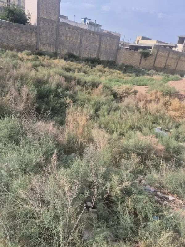 فروش زمین ۱۵۰ متری ورودی جمال آباد کرونی