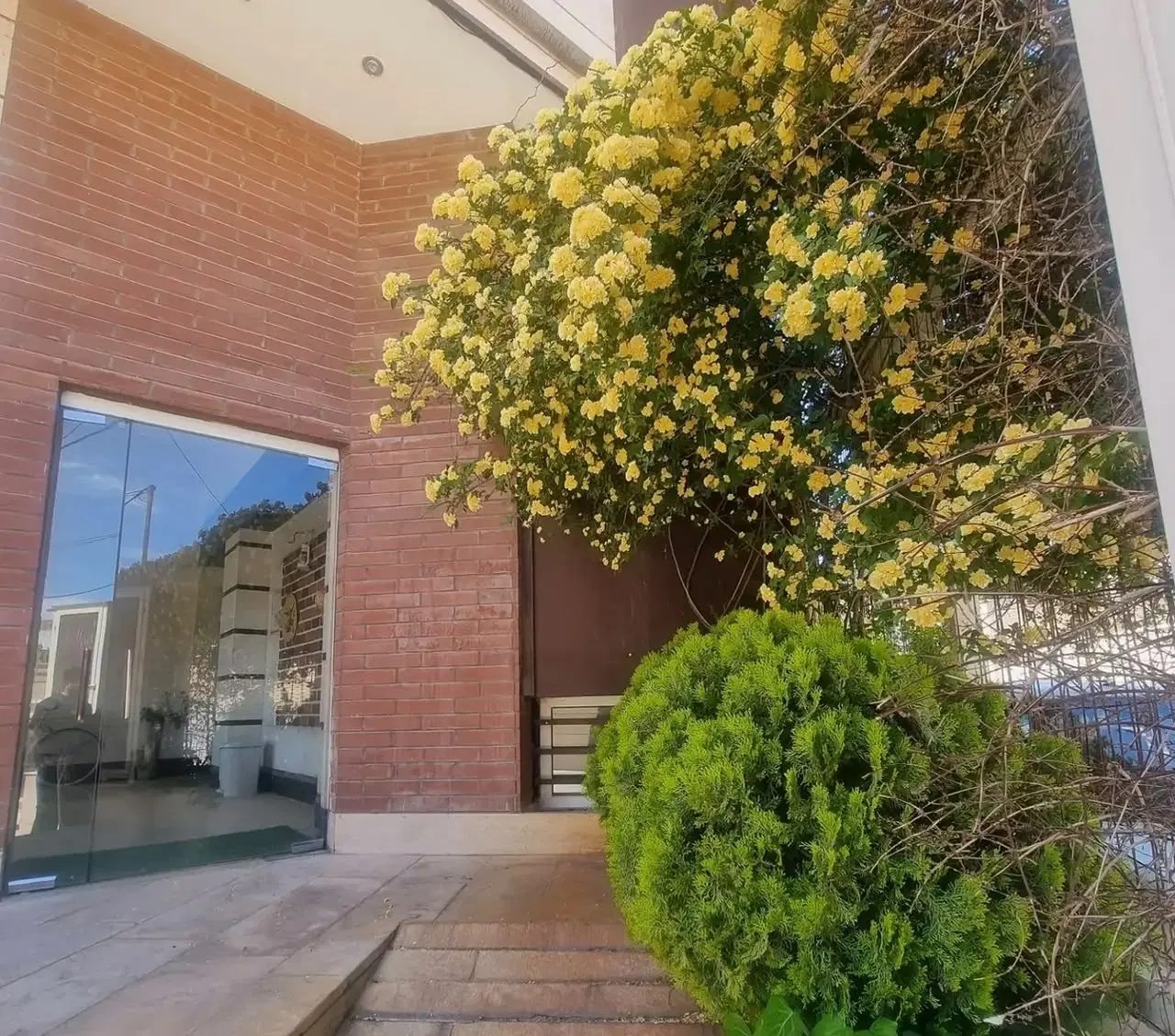 نیازمند هم  خانه خانم اباده ای