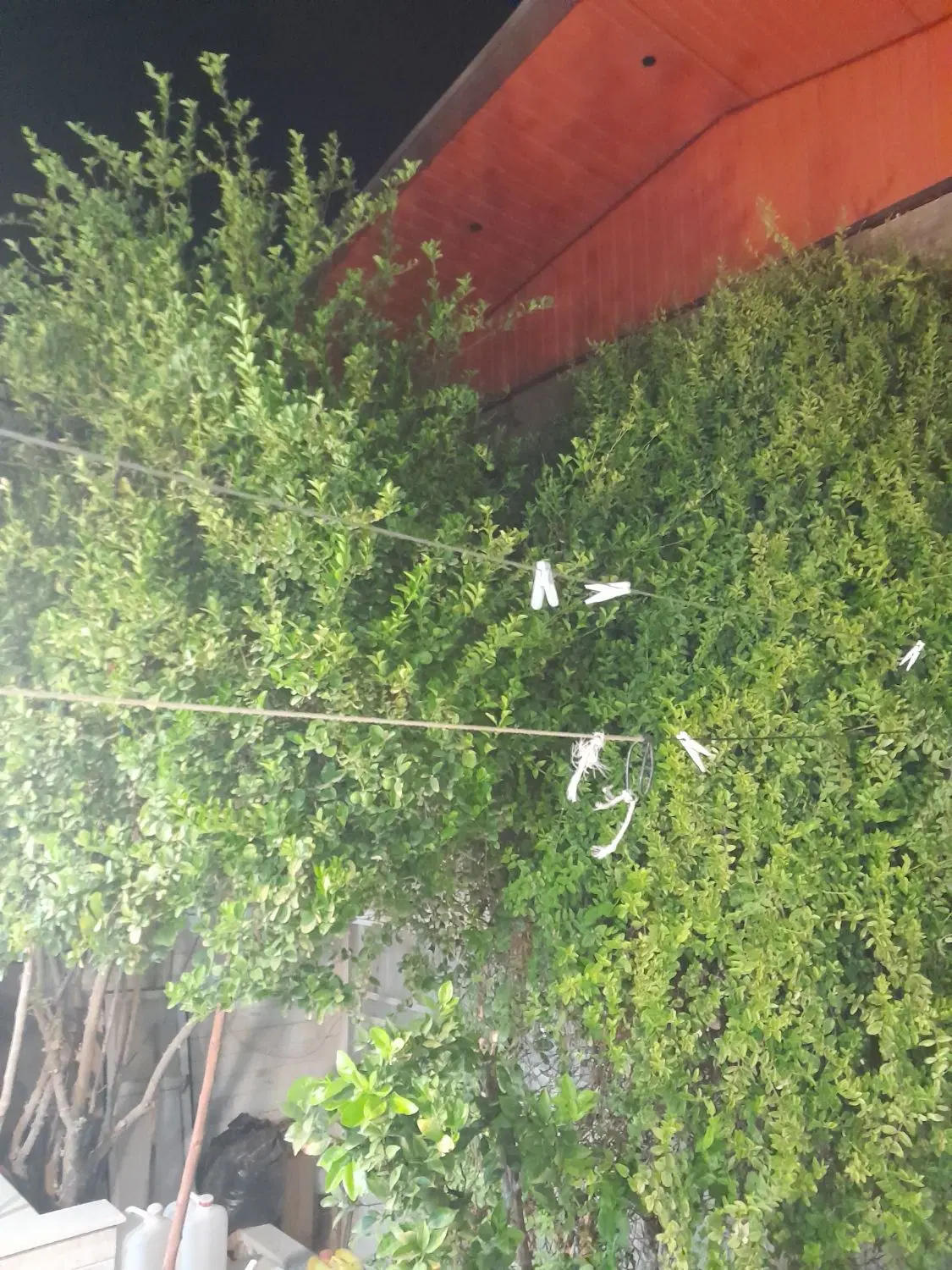 خانه مسکونی ویلایی