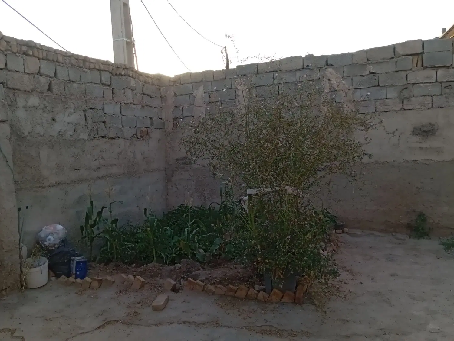 زمین غلفتی در الهیه