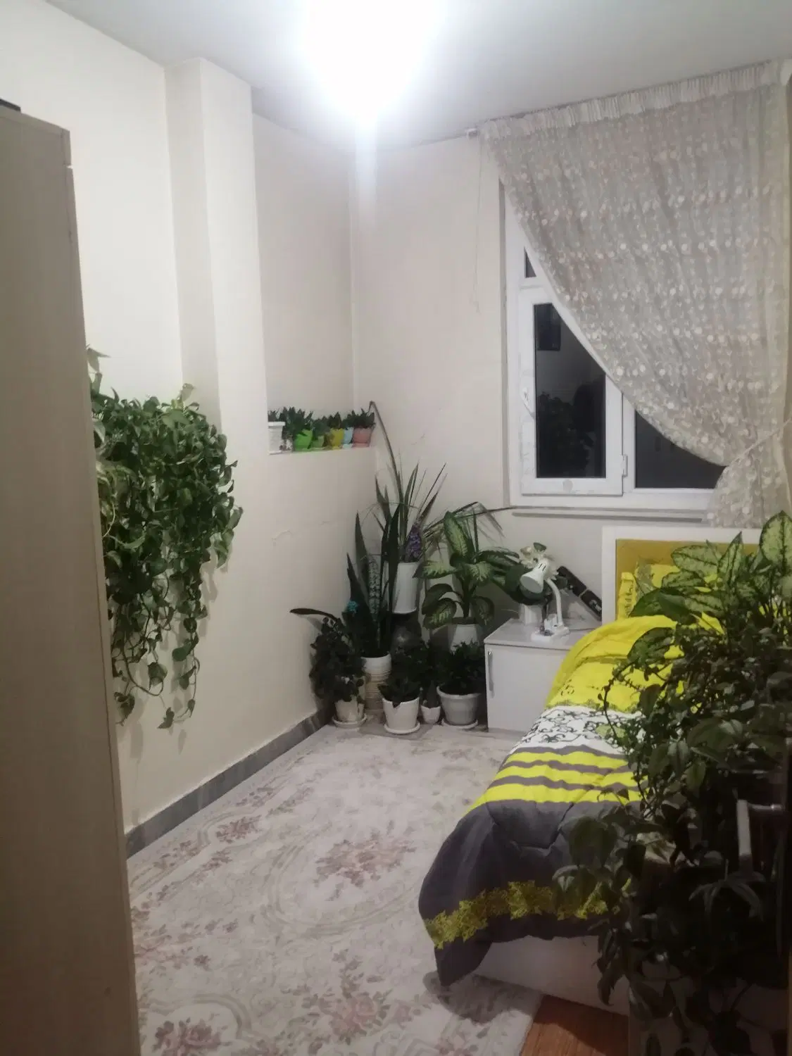 فروش خانه