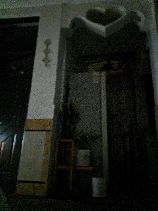 هم خونه
