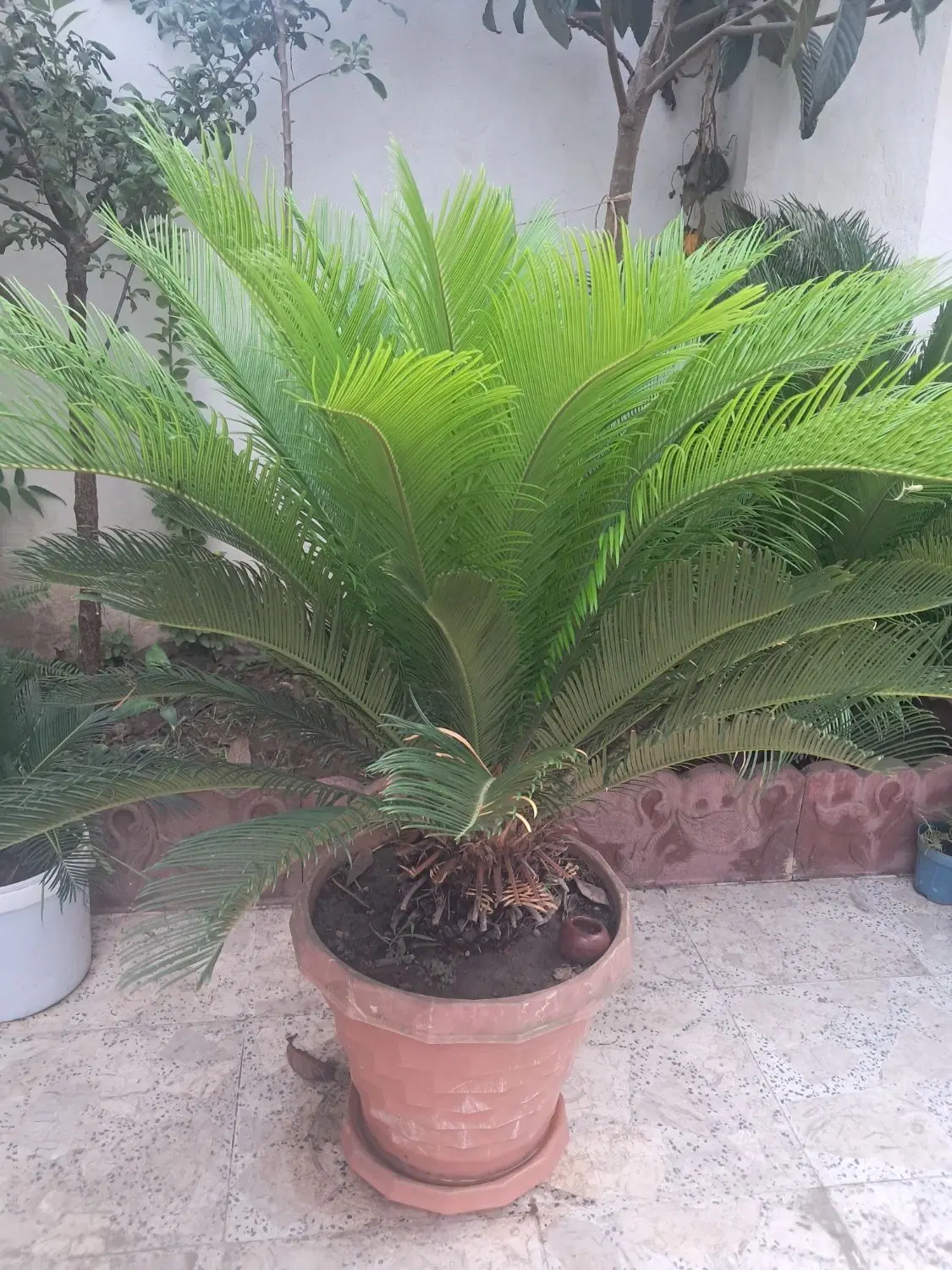 سوییت مبله