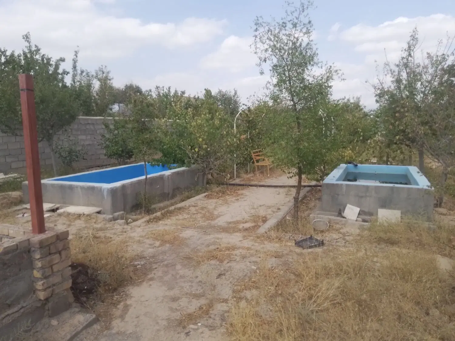 باغ میوه