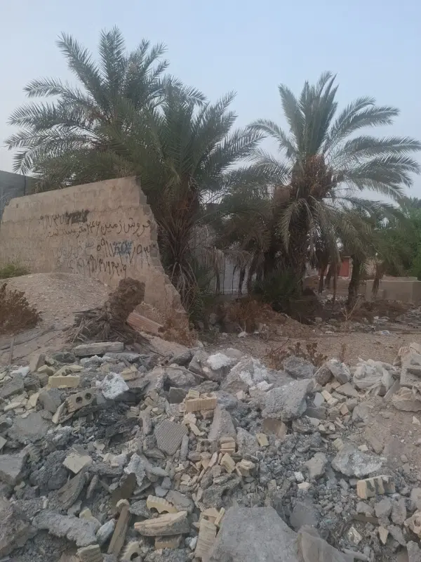 زمین ۲۴۶متری