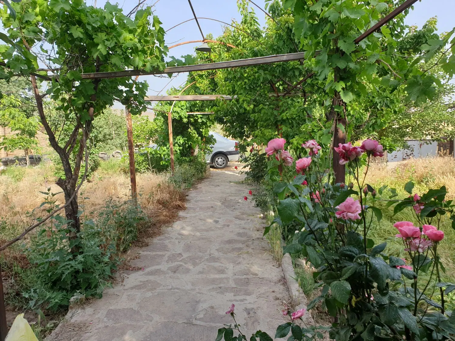 باغ ویلا
