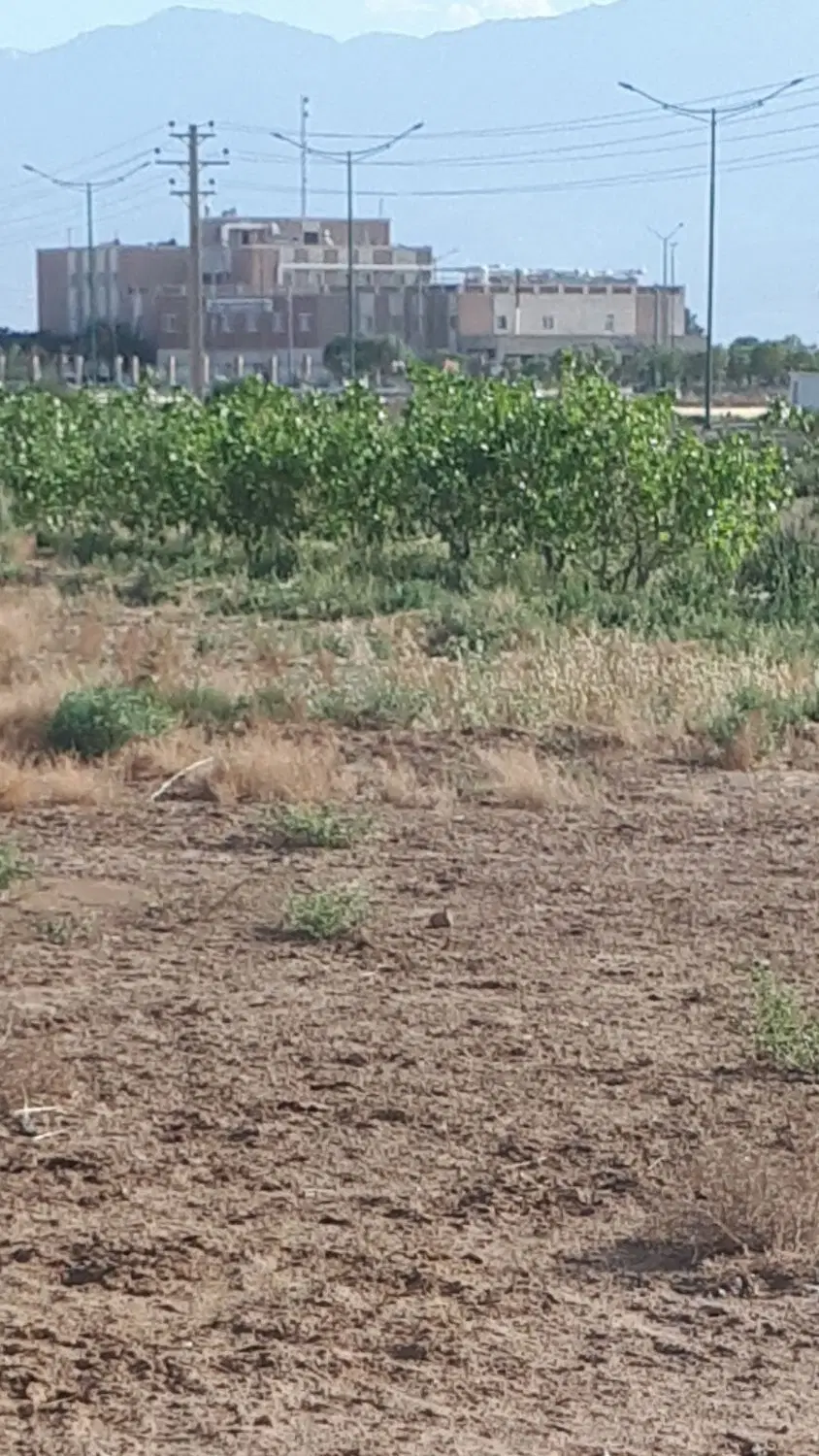 زمین دشت بهشتی