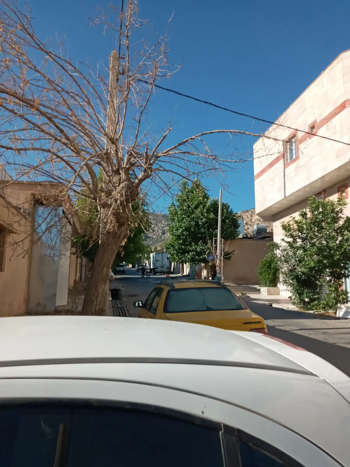 اجاره مغازه تجاری