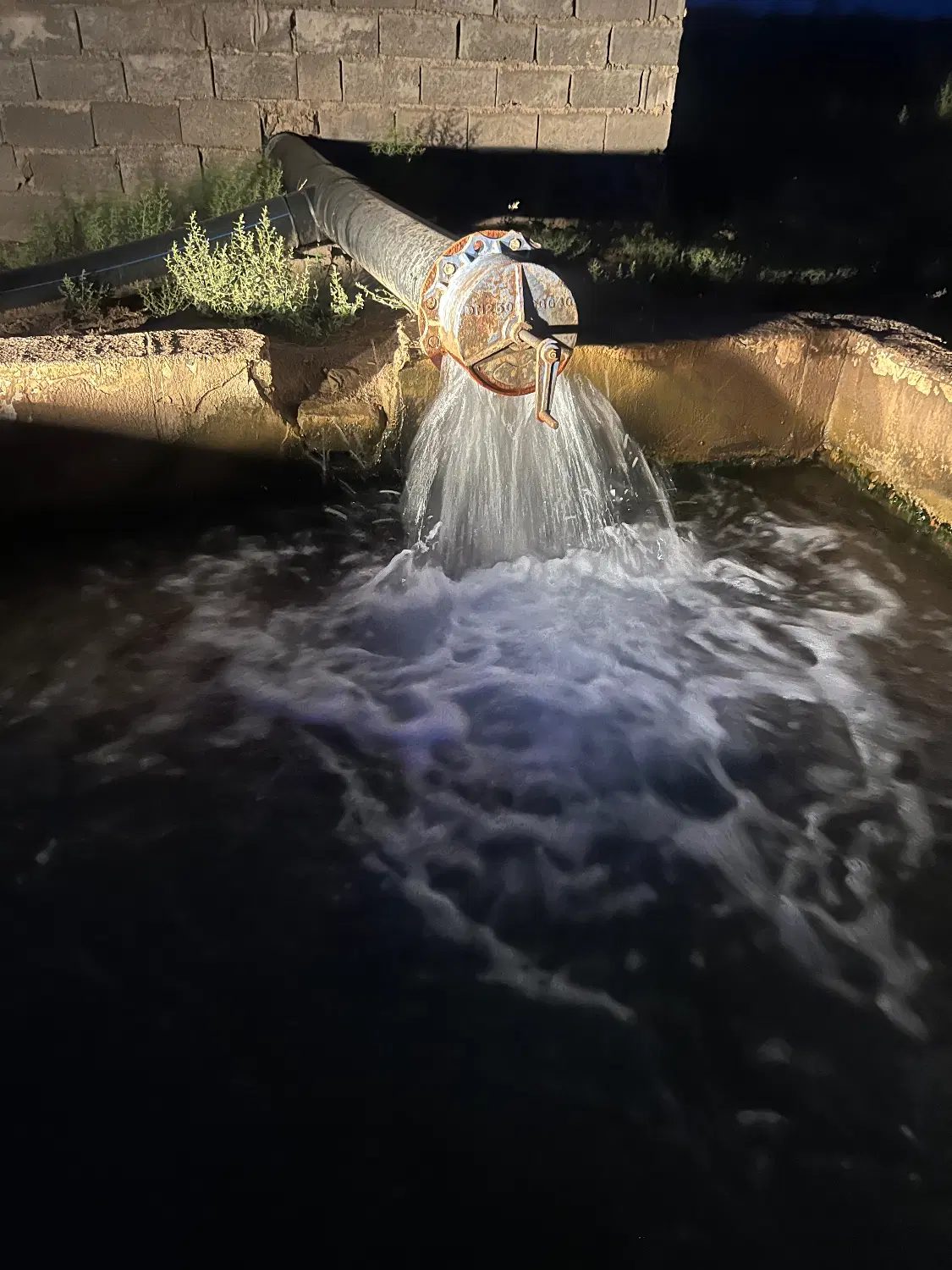 فروش باغ پسته