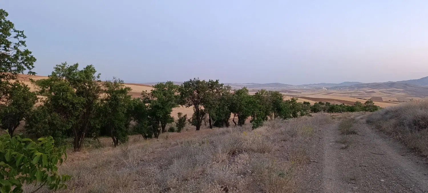 باغ۲۴هزار متر  جاده ملایر