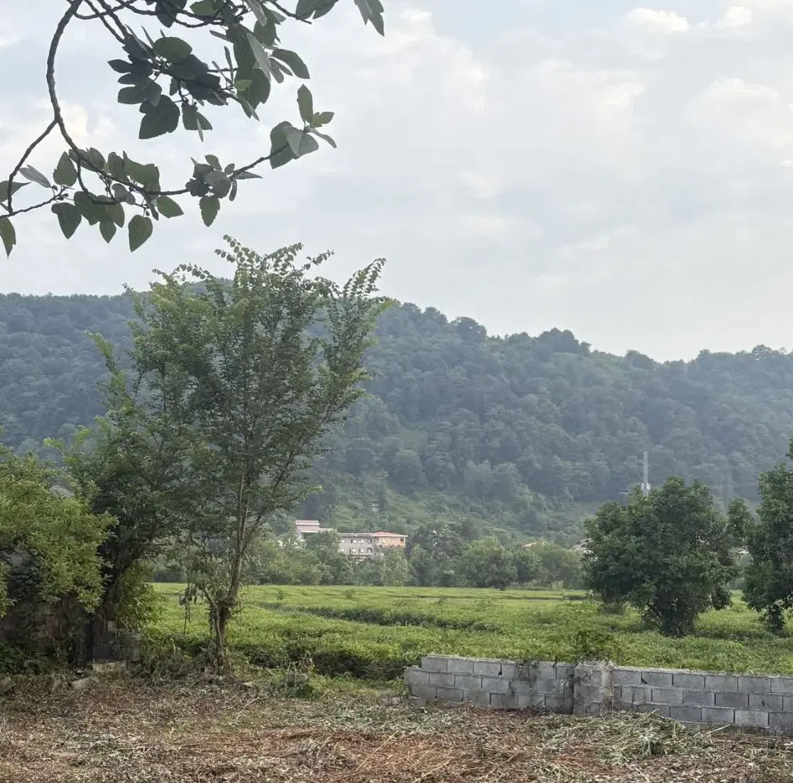 زمین مسکونی سوستان پای کوه قیمت مناسب