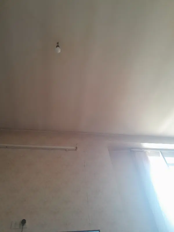 همخونه
