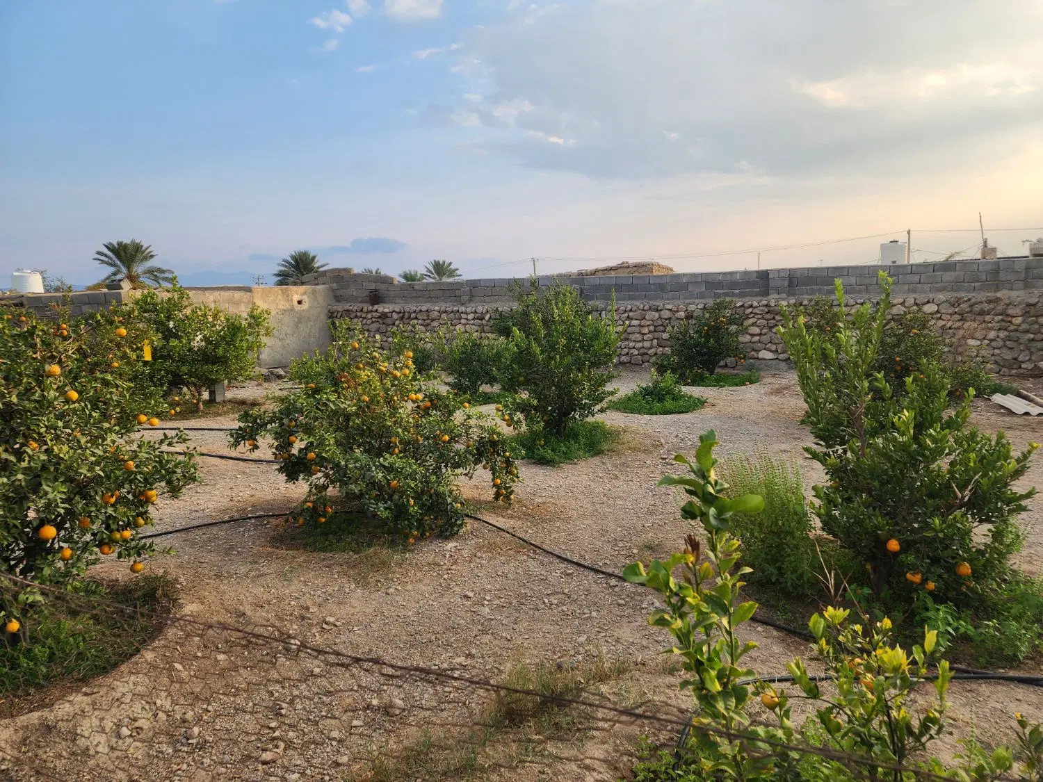 فروش خانه‌باغ در سیاهو، روستای تل سورو