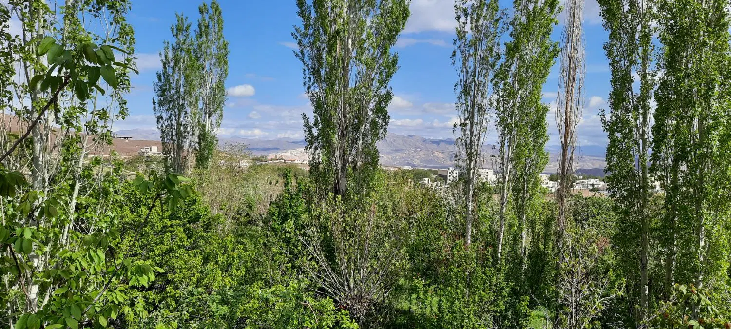 باغ با چشم انداز زیبا (توضیحات مطالعه شود)