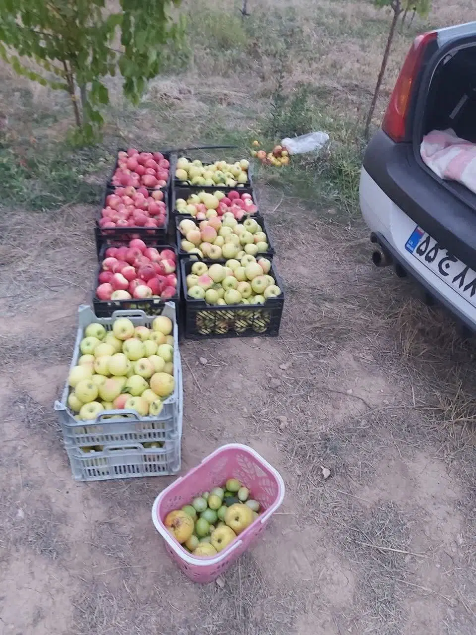 باغ شهر ساوالان