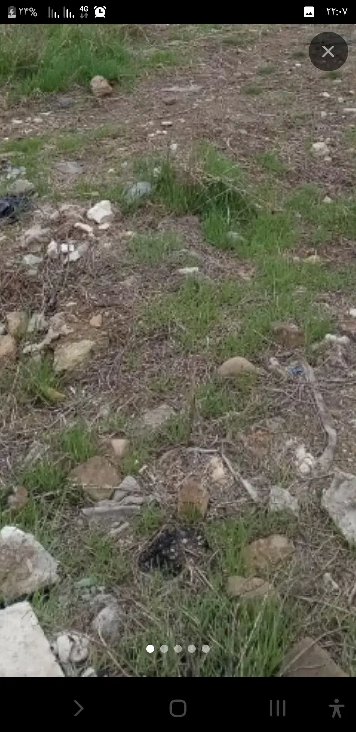 یک قطعه زمین۱۶۵۰