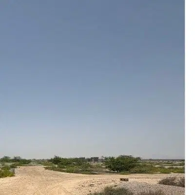 زمین سیادک (عکس تزئینی)