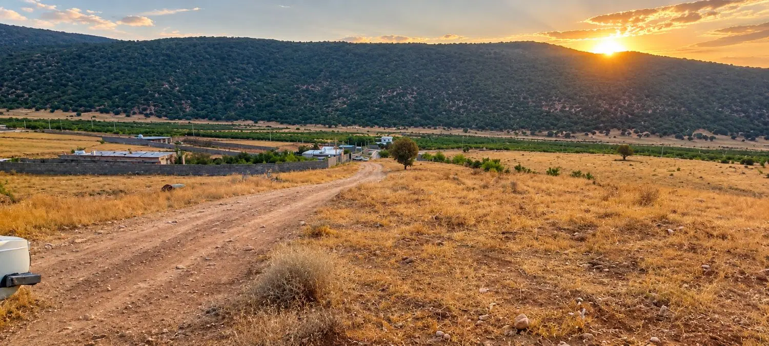 زمین دشتروم روستایی دلی اولاد علی مومن