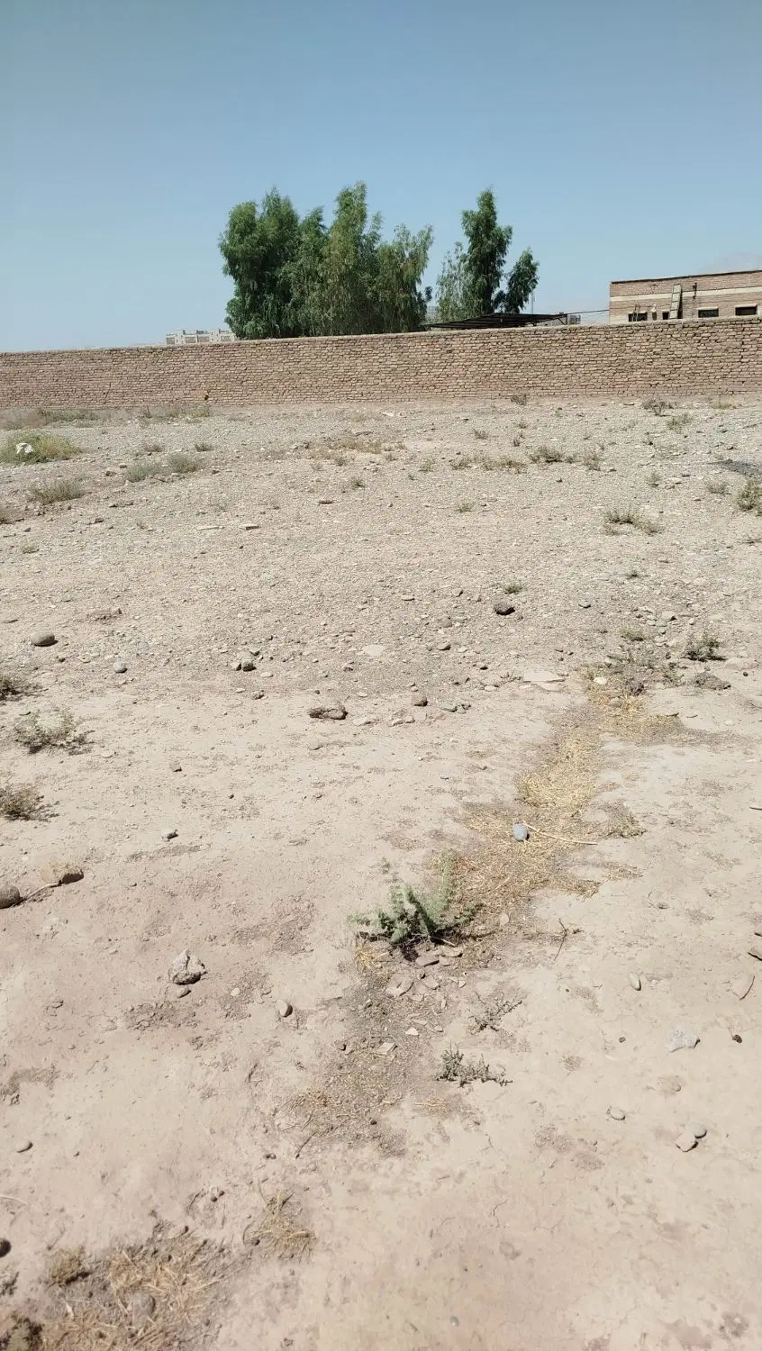 زمین 185 متری شمالی