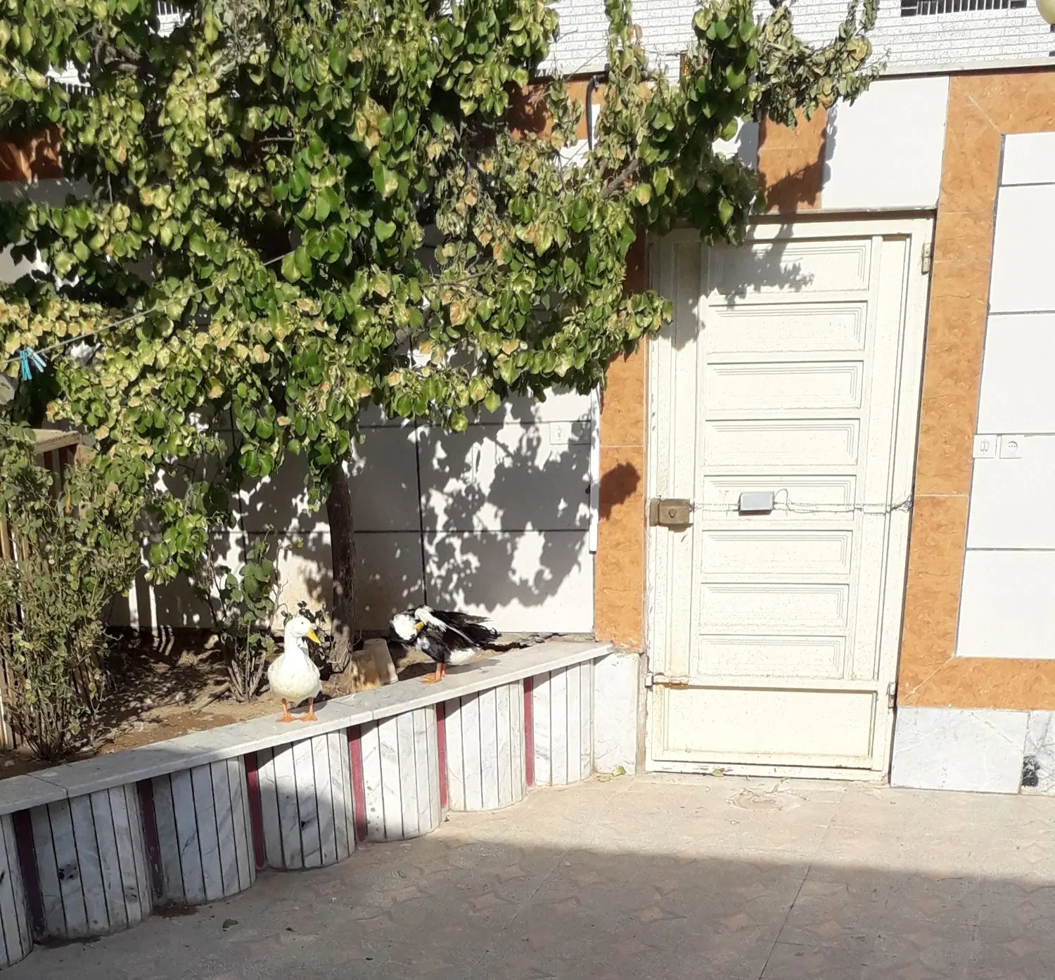 خانه ویلایی در گزبرخوار