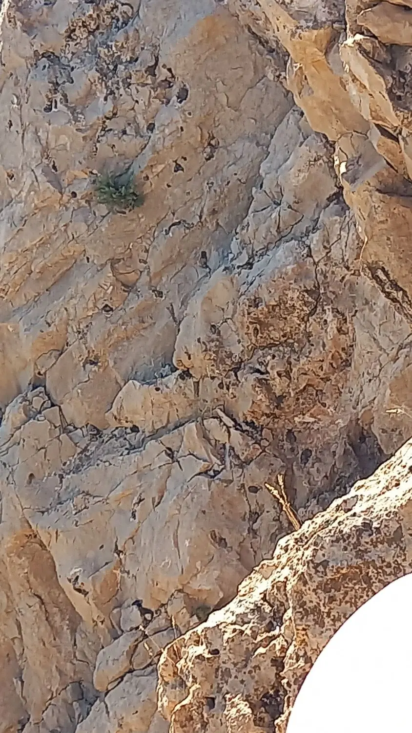 زمین دیم سراب ایوان