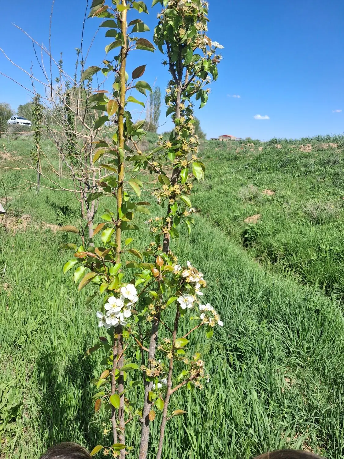یک قطعه زمین ۹۱متری