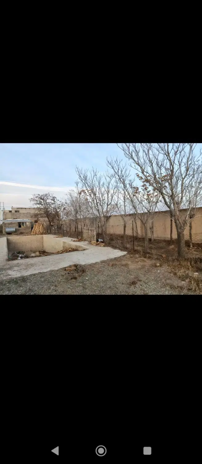 دامداری