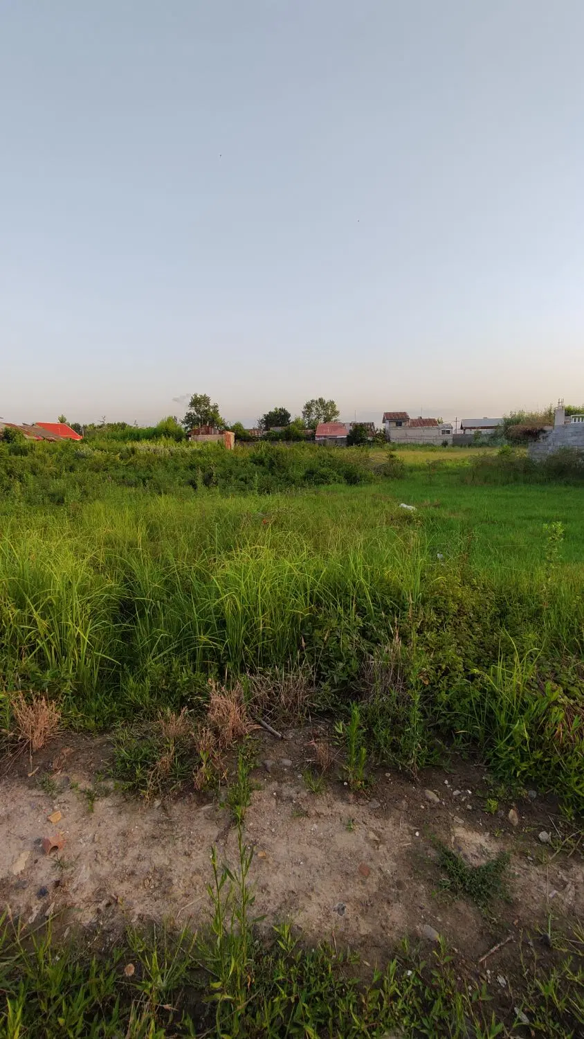 زمین واقع در بجار بنه