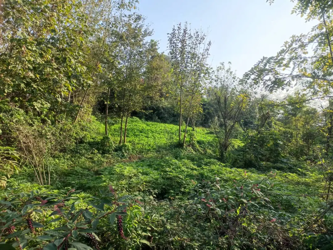 خانه  و محوطه 3340 متر