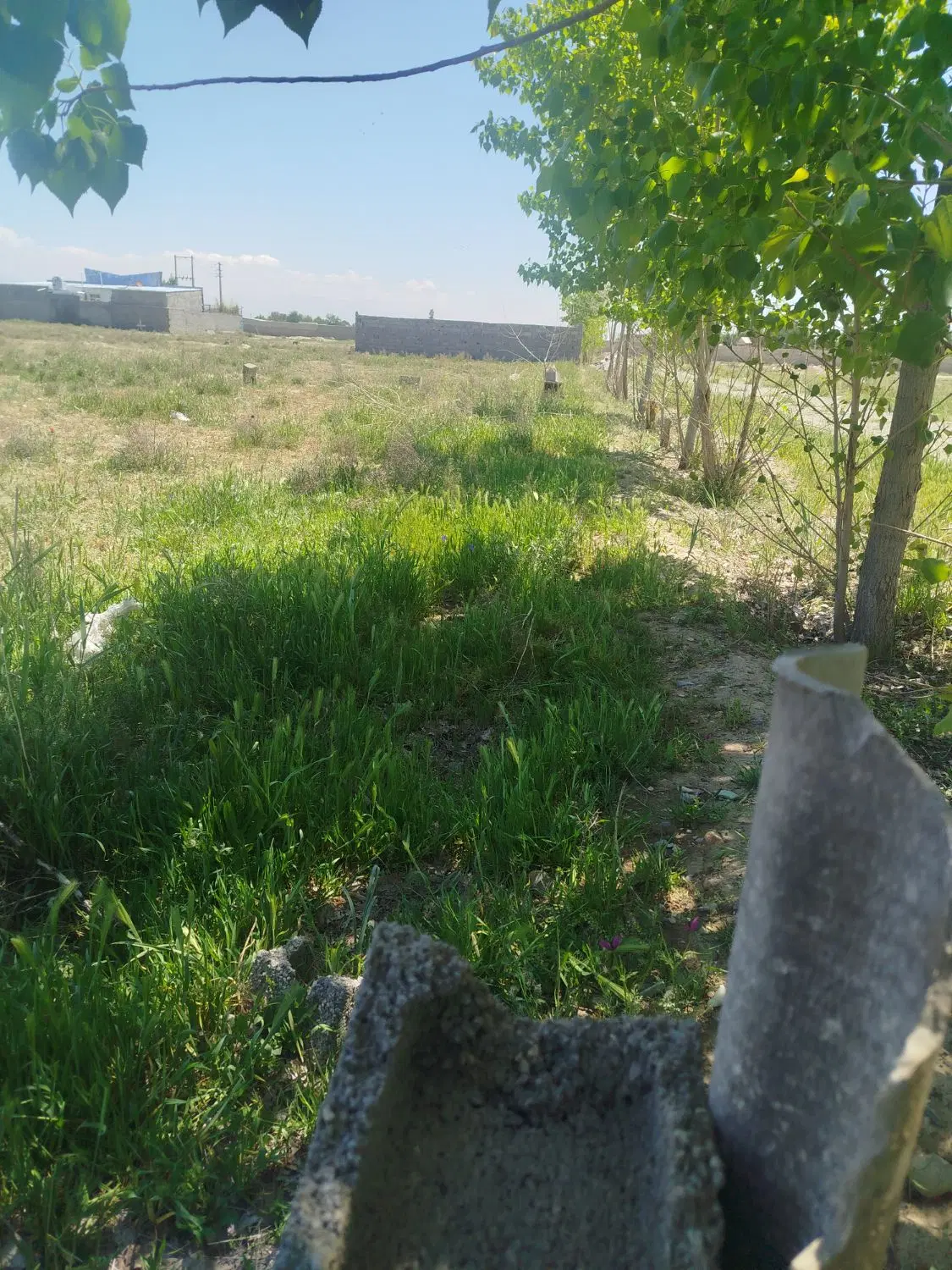 ۸۶۵ متر زمین کشاورزی دوماه برای ساخت ویلا