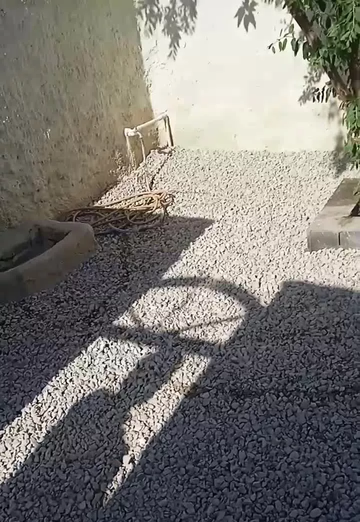 اجاره خونه باغ در اران بیدگل
