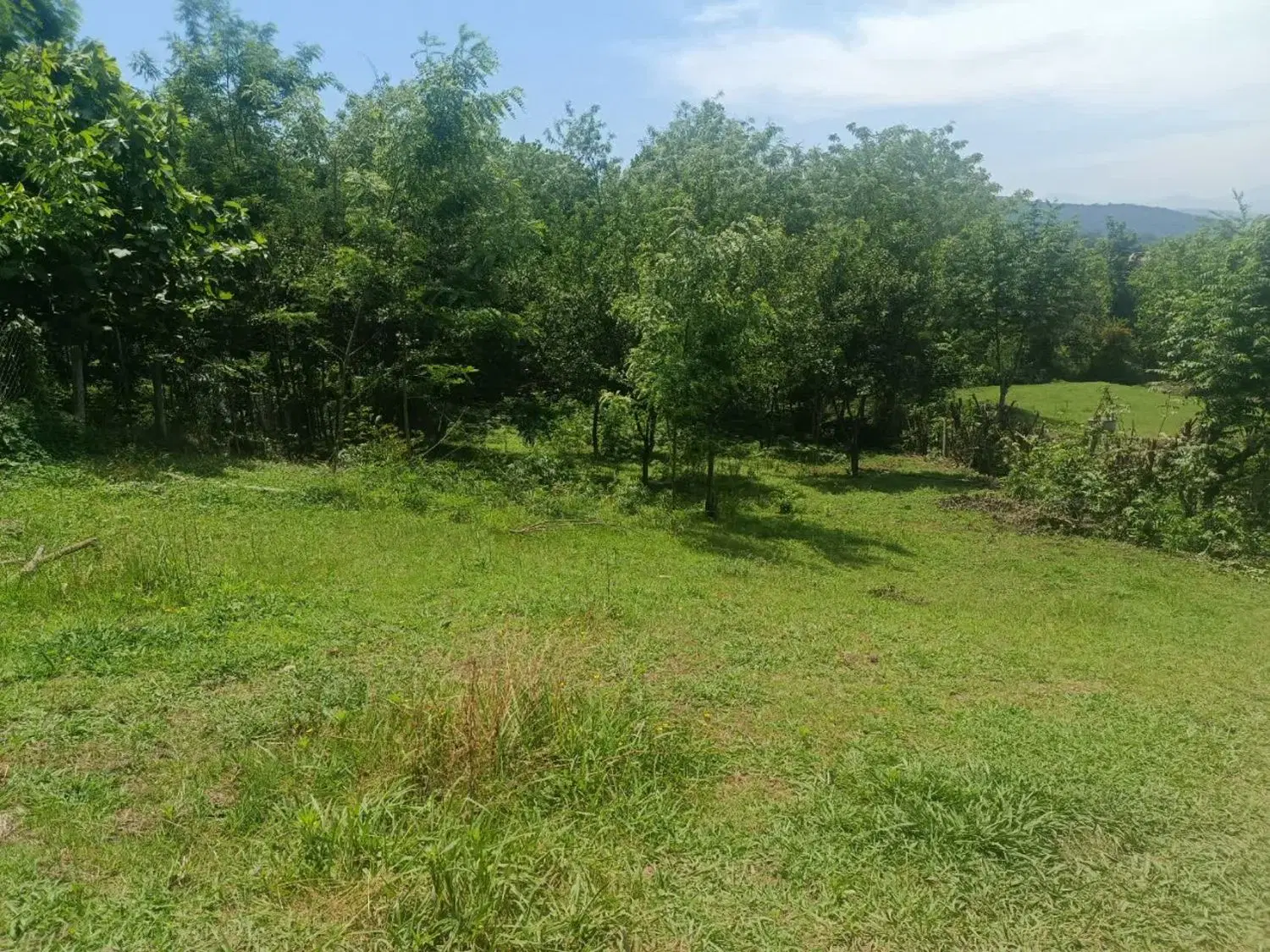 زمین مسکونی 541متری
