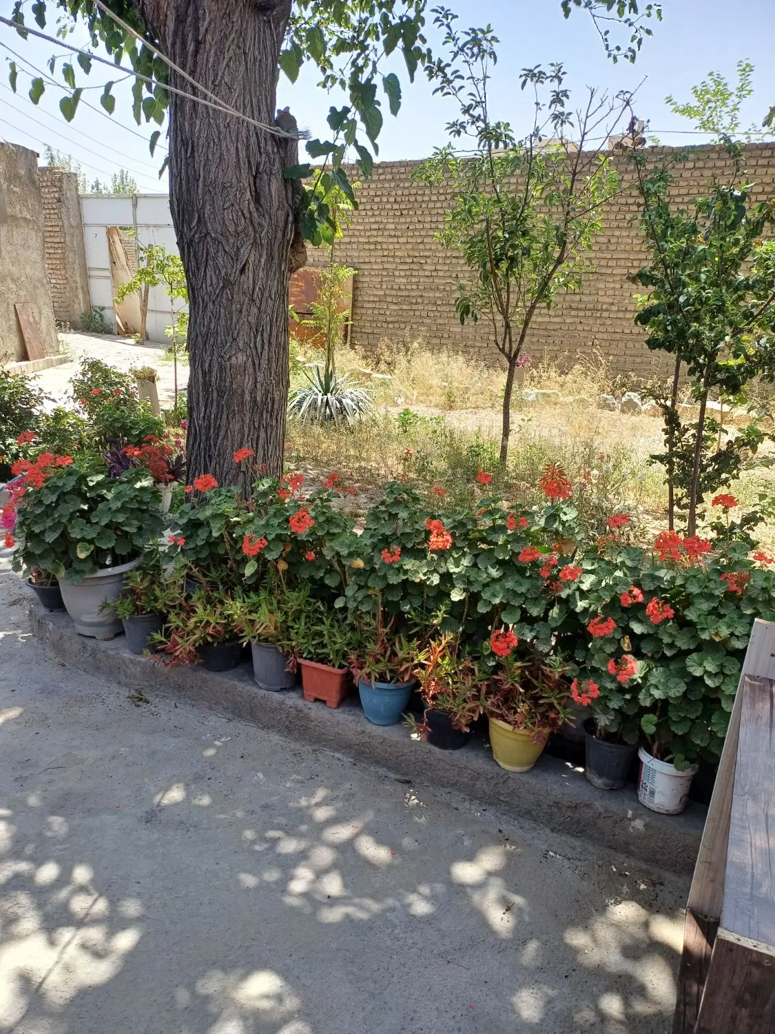 فروش مستغلات. ۲۶۰ متر بنا