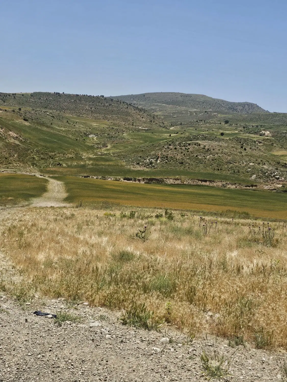 فروش زمین کوهمره سرخی