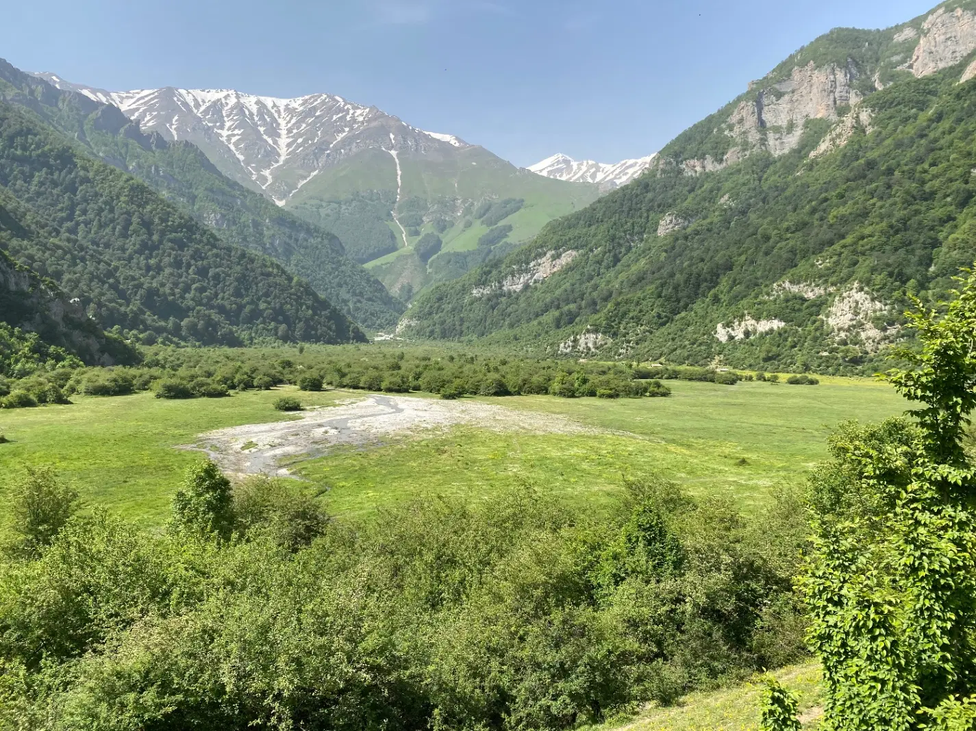 باغ کیوی سند مسکونی
